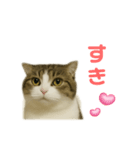 ちょた①（個別スタンプ：4）