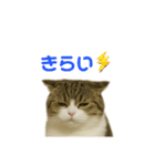 ちょた①（個別スタンプ：5）