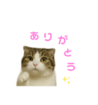 ちょた①（個別スタンプ：7）