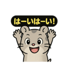 ♡そらくんのひとこと5♡（個別スタンプ：1）