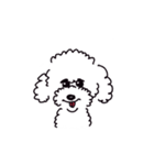 知らない犬。（個別スタンプ：1）