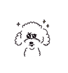 知らない犬。（個別スタンプ：11）