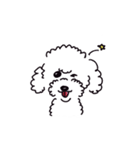 知らない犬。（個別スタンプ：15）
