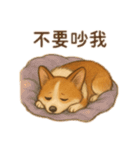 錢胖胖跟媽咪（個別スタンプ：1）