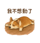 錢胖胖跟媽咪（個別スタンプ：5）