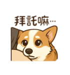 錢胖胖跟媽咪（個別スタンプ：7）