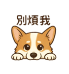 錢胖胖跟媽咪（個別スタンプ：8）