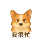 錢胖胖跟媽咪（個別スタンプ：11）