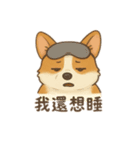 錢胖胖跟媽咪（個別スタンプ：12）