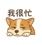 錢胖胖跟媽咪（個別スタンプ：15）