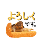 どろろからの伝言。（個別スタンプ：1）