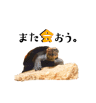 どろろからの伝言。（個別スタンプ：9）