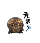 どろろからの伝言。（個別スタンプ：12）