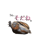 どろろからの伝言。（個別スタンプ：15）
