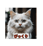 にゃんこ感情表現（個別スタンプ：2）