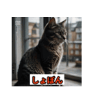 にゃんこ感情表現（個別スタンプ：3）