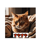 にゃんこ感情表現（個別スタンプ：4）