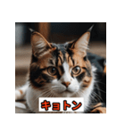 にゃんこ感情表現（個別スタンプ：8）