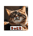 にゃんこ感情表現（個別スタンプ：9）