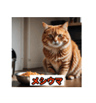 にゃんこ感情表現（個別スタンプ：14）
