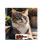 にゃんこ感情表現（個別スタンプ：23）