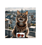 にゃんこ感情表現（個別スタンプ：25）