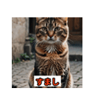 にゃんこ感情表現（個別スタンプ：30）