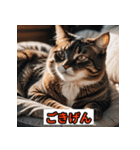 にゃんこ感情表現（個別スタンプ：31）