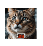 にゃんこ感情表現（個別スタンプ：32）