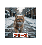 にゃんこ感情表現（個別スタンプ：33）