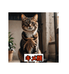 にゃんこ感情表現（個別スタンプ：36）