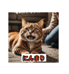 にゃんこ感情表現（個別スタンプ：37）