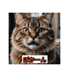 にゃんこ感情表現（個別スタンプ：38）