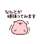 大人のぶた（個別スタンプ：24）