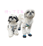 おこげと笑吉 2（個別スタンプ：6）
