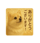 ポメラニアン なぎの日常①（個別スタンプ：5）