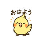 オカメインコのゆるかわスタンプ（個別スタンプ：1）