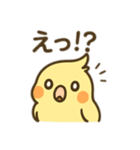 オカメインコのゆるかわスタンプ（個別スタンプ：8）
