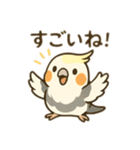 オカメインコのゆるかわスタンプ（個別スタンプ：10）