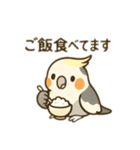 オカメインコのゆるかわスタンプ（個別スタンプ：11）