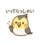 オカメインコのゆるかわスタンプ（個別スタンプ：13）