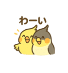 オカメインコのゆるかわスタンプ（個別スタンプ：16）