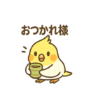 オカメインコのゆるかわスタンプ（個別スタンプ：17）