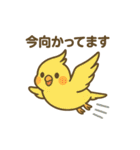 オカメインコのゆるかわスタンプ（個別スタンプ：18）