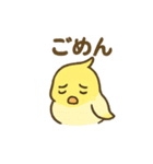 オカメインコのゆるかわスタンプ（個別スタンプ：20）