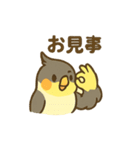 オカメインコのゆるかわスタンプ（個別スタンプ：21）