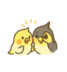 オカメインコのゆるかわスタンプ（個別スタンプ：23）