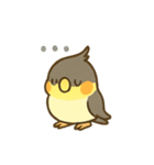 オカメインコのゆるかわスタンプ（個別スタンプ：28）