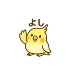 オカメインコのゆるかわスタンプ（個別スタンプ：29）