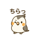 オカメインコのゆるかわスタンプ（個別スタンプ：31）